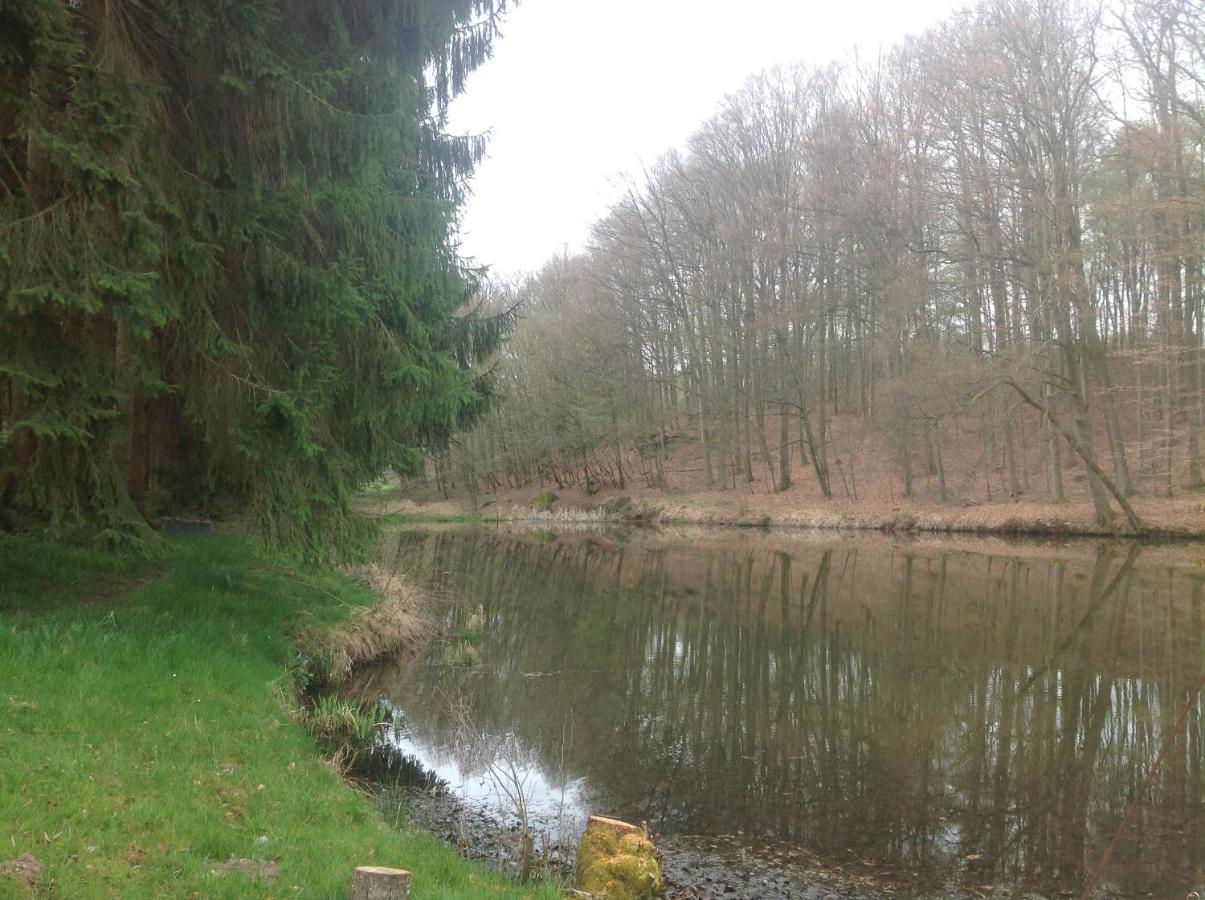 Gite Du Creux De La Goutte Xertigny エクステリア 写真